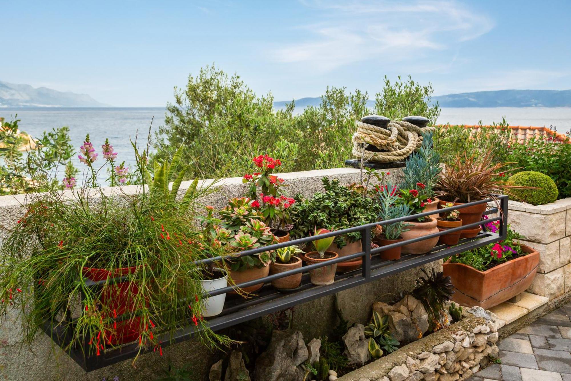Seaside Apartment Kamelia Mimice Εξωτερικό φωτογραφία